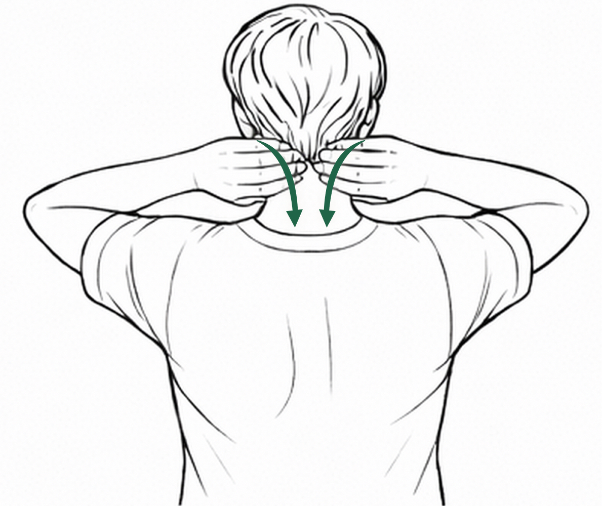 Rear view illustration showing both hands placed on the back of the neck below the hairline, with arrows indicating downward stroke direction